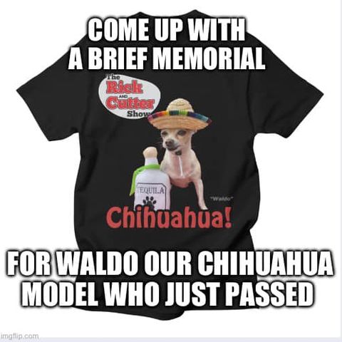 Dumb Ass Question: A Memorial to the Rick and Cutter Show Chihuahua, Waldo