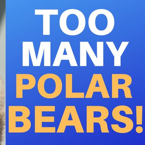 THERE'S TOO MANY POLAR BEARS : The Struggle Continues