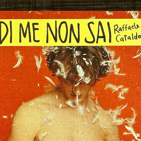 Raffaele Cataldo "Di me non sai"