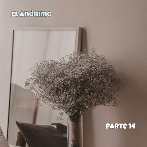El anónimo | Parte 14