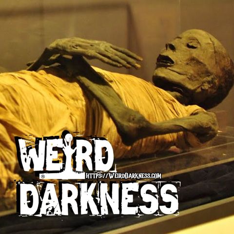 “MY NEW YEAR’S EVE AMONG THE MUMMIES” #HolidayHorrors #WeirdDarkness