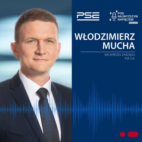 Pod Najwyższym Napięciem, odcinek 6: Włodzimierz Mucha o inwestycjach w infrastrukturę przesyłową