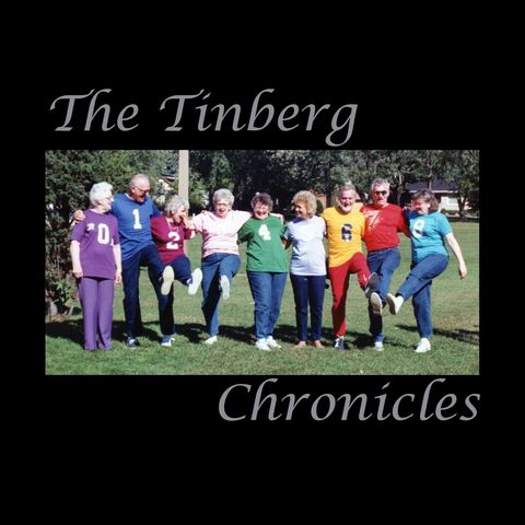 The Tinberg Chronicles 1