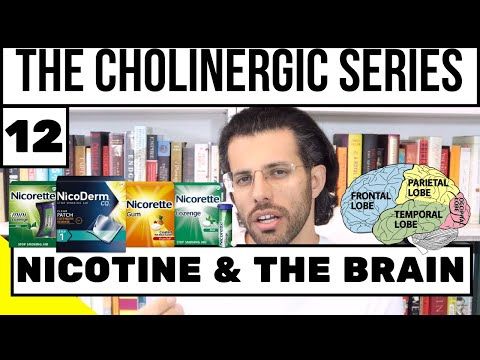 Nicotine & the Brain