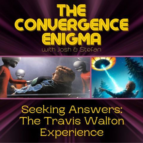 The Travis Walton Experience