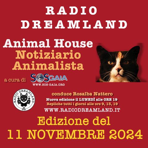 Notiziario animalista dell'11 novembre 2024