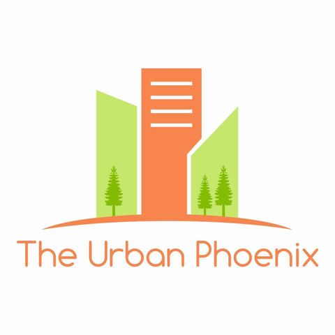 The Urban Phoenix - Episode 2: Schenectady & Guest Carolyn Levine