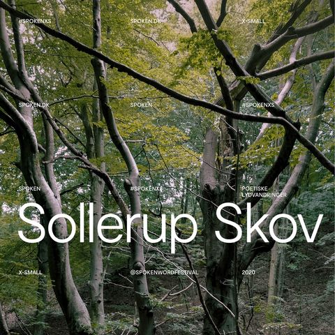 Poetiske Lydvandringer i Naturen - Sollerup Skov