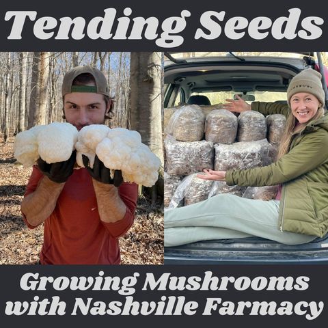 Ep 46 - Growing Mushrooms with Nashville Farmacy