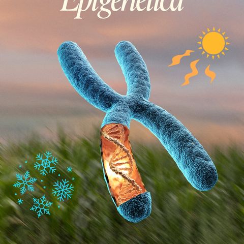 Epigenética