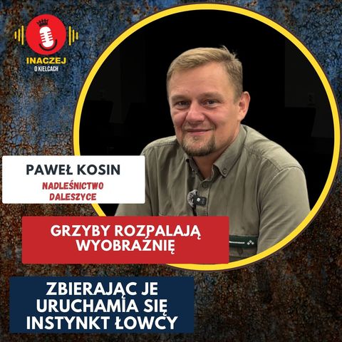 38. Paweł Kosin: Grzyby rozpalają wyobraźnię. Zbierając je uruchamiamy instynkt łowcy