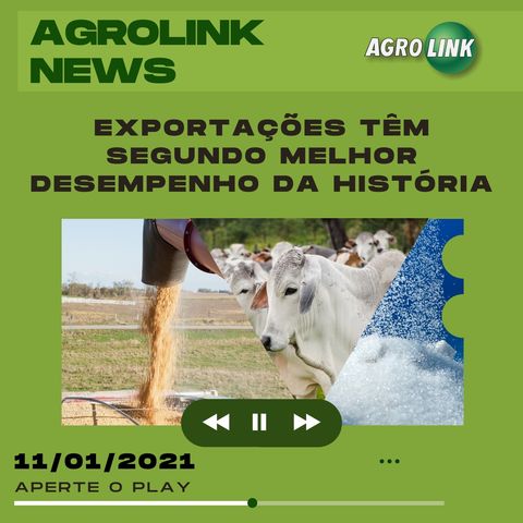 Agrolink News - Destaques do dia 11 de janeiro