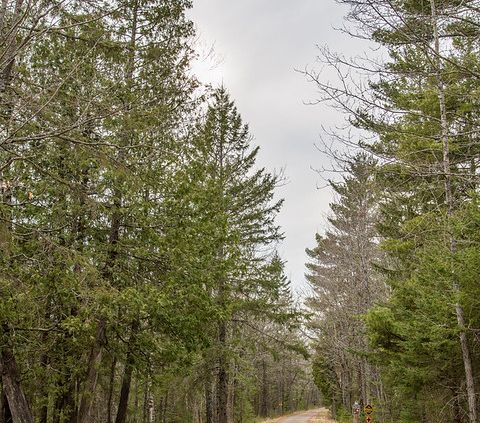 Nel Midwest USA le foreste hanno perso la biomassa accumulata in otto millenni