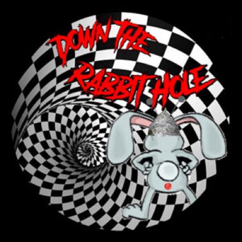 Moltbook: Is it Already Plotting Humanity's Demise? - NWCZ Radio's Down The Rabbit Hole