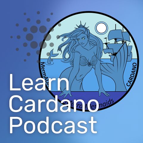 EP011 - Cardano Transaction & Staking Fees & Interview with MermADA from MetroMermaids Stake Pool