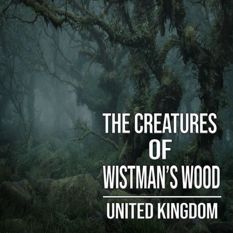The Creatures of Wistman's Wood