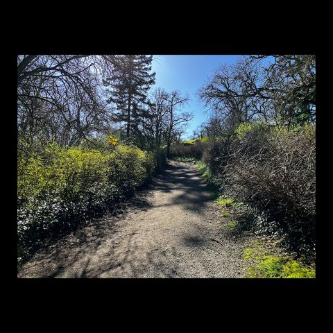 Top Loop Romp