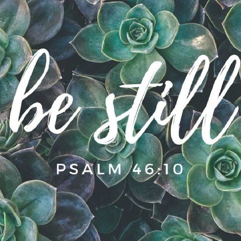 Be Still - Morning Manna #3236