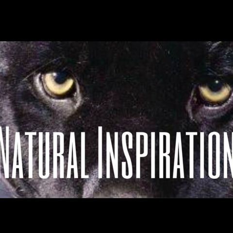 How To Access Your NATURAL INSPIRATION to manifest your Dreams