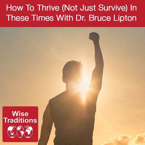 293: How To Thrive (Not Just Survive) In These Times