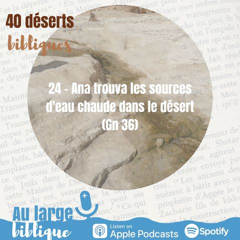 #41 Désert 24 - Ana trouva les sources d'eau chaude dans le désert (Gn 36)