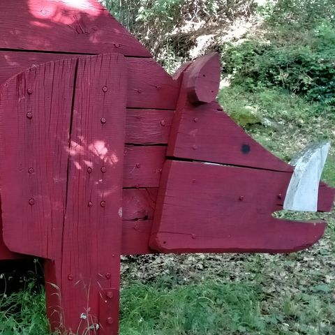 3. Il Cinghiale