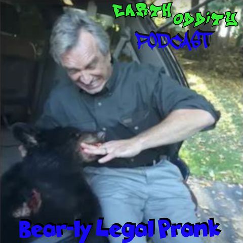 Earth Oddity 307: Bear-ly Legal Prank