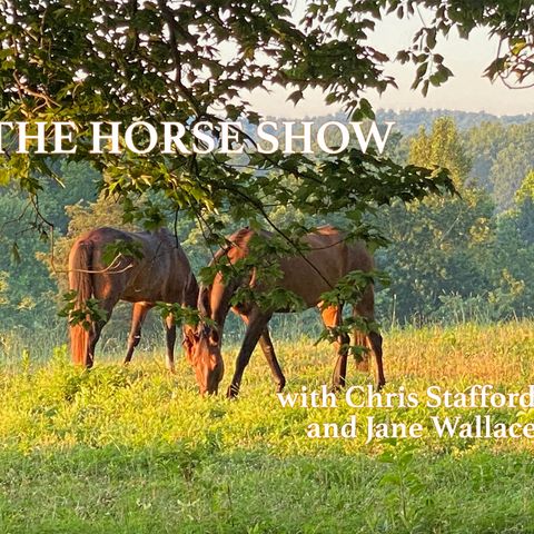The Horse Show: S5E16 - Children, Ponies and Summer Fun