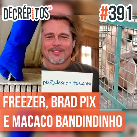 Decrépitos 391 - VACILO NEWS: Freezer Desligado, Brad Pix e Macaco Bandindinho