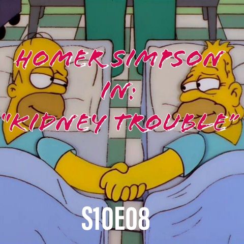 177) S10E08 (Homer Simpson in: "Kidney Trouble")