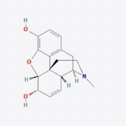 Endogenous opioid peptides