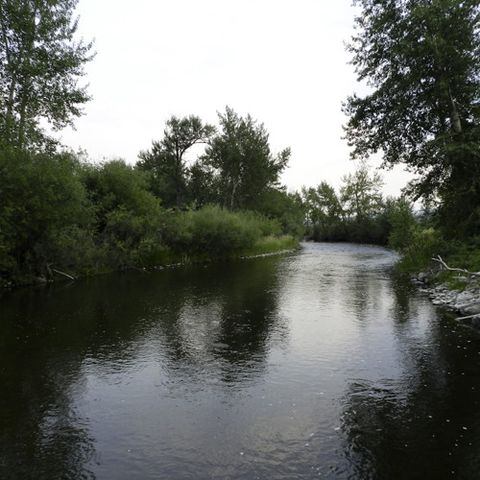 EarthFix Podcast: How logging and farming affect water quality in the NW http://earthfix.us/pod0816