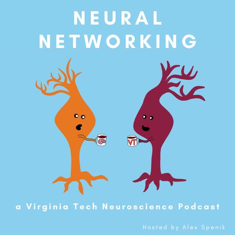 Introducing Neural Networking