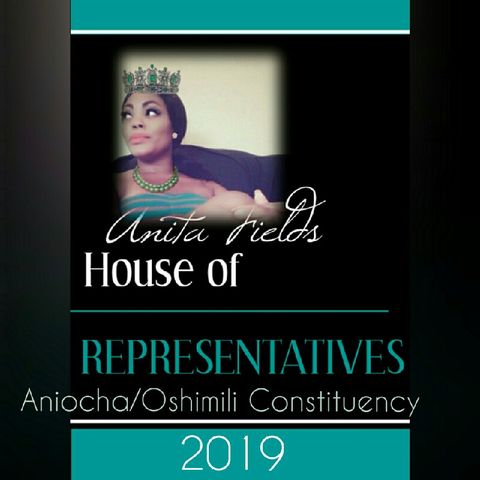 Anita Fields For House Of Representatives 2019