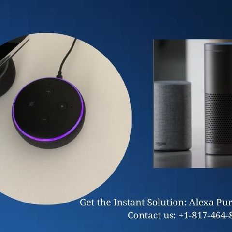 Get the Instant Solution  Alexa Purple Ring Issues