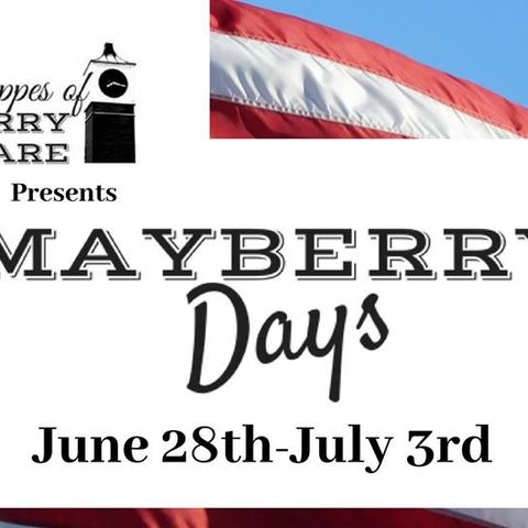 Let's go enjoy some fun in Sylvania at their Mayberry Days Fest!