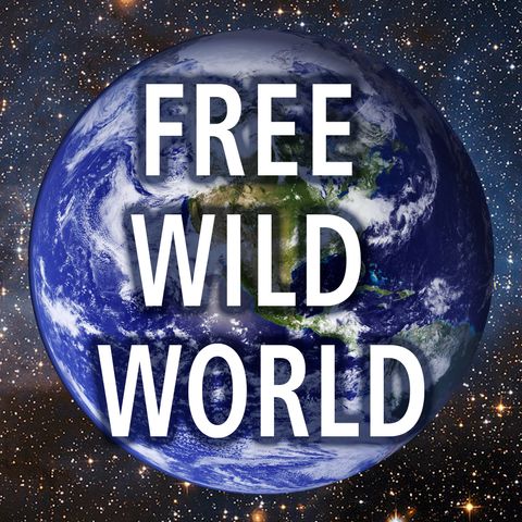 John Lopes - Tao of Plant Medicine - Free Wild World Podcast #19