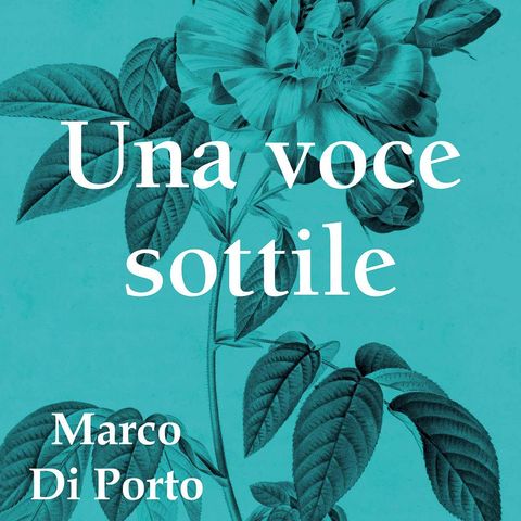 Marco Di Porto "Una voce sottile"