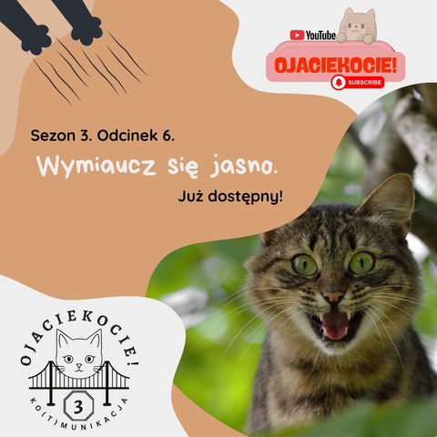 S3E6 - Wymiaucz się jasno.