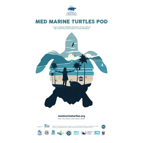 MED MARINE TURTLES POD - MAVA FOUNDATION