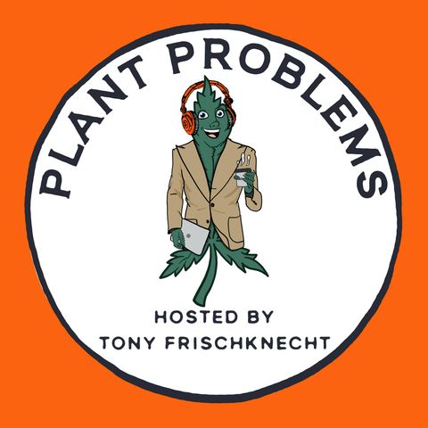 Podcast Cover