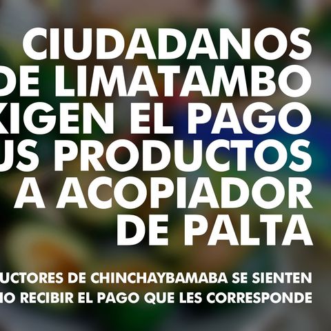 🥑📻😡 Radio en vivo - productores de palta de Chinchaybamba, indican que acopiador no les paga por su producto