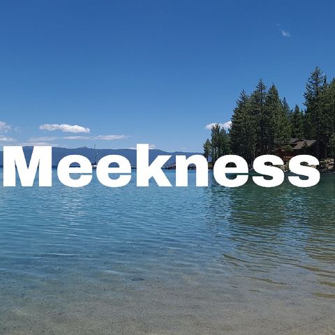 Meekness (Part 2)