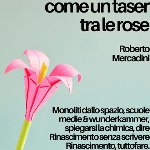 Roberto Mercadini