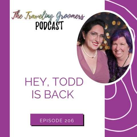 Hey, Todd Is Back!
