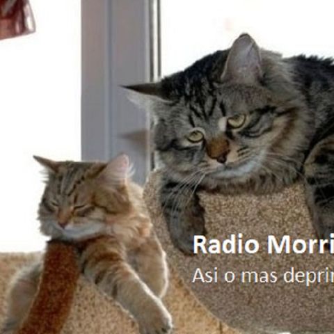 Radio Morris La deprimida