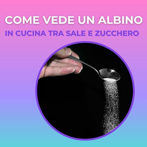 Come vede un Albino in cucina