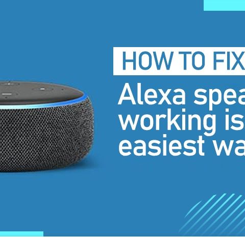 How to Fix Echo Dot Speaker Not Working