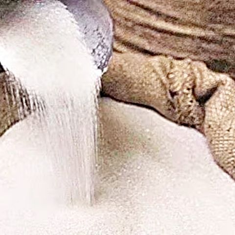 चीनी उत्पादन में भारत बड़ा देश - Sugar Production in India (19 December 2023)