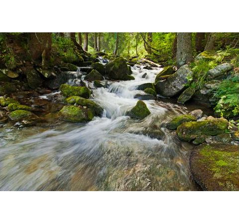 The Healing Waters